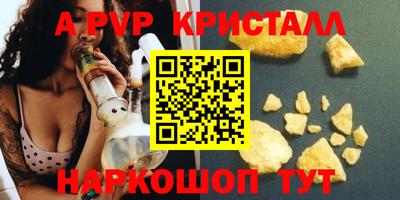 стафф Донской