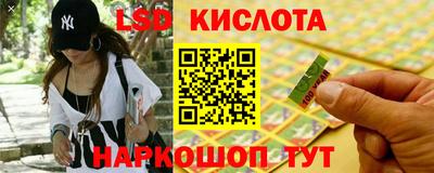 стафф Донской