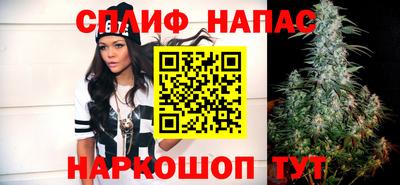 гашик Донецк