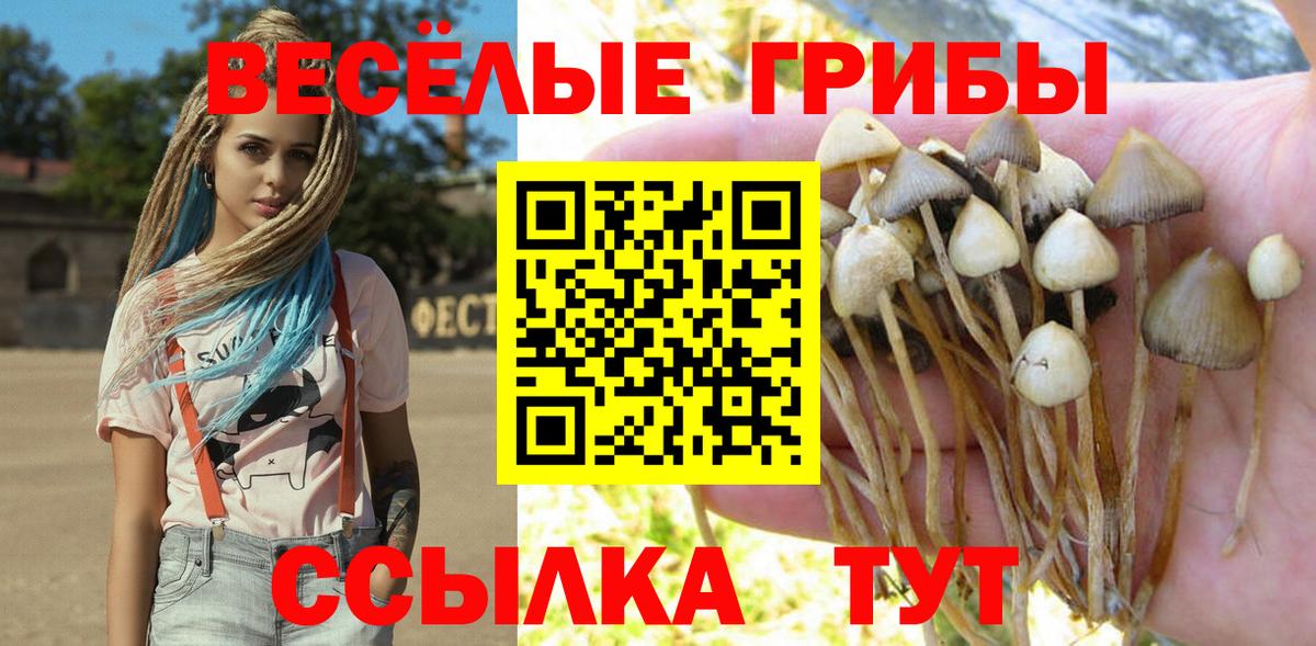 Псилоцибиновые грибы GOLDEN TEACHER Можайск