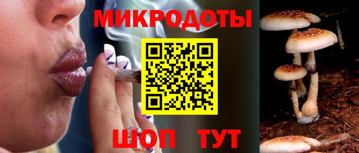 Можайск  Псилоцибиновые грибы ЛСД  Вход с VPN 